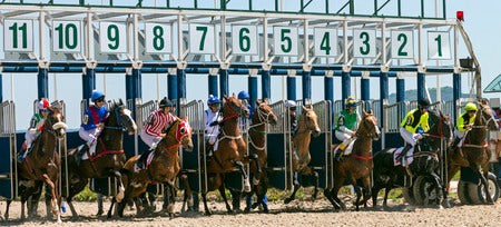 Horses: $177 Billion annually to the US Economy, by Alastair Bull April 30th, 2025